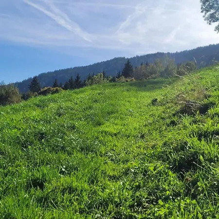 Waldmelodie Huette