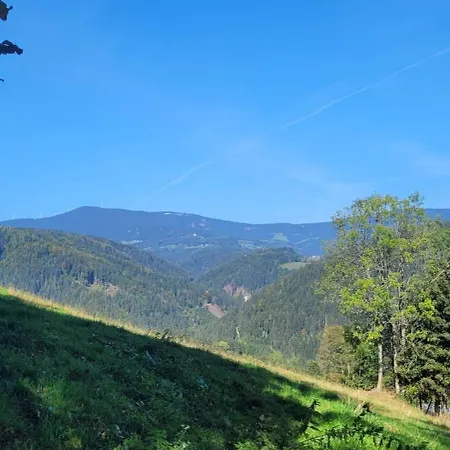 Waldmelodie Huette