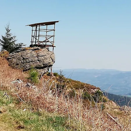 Feriehus Waldmelodie Huette