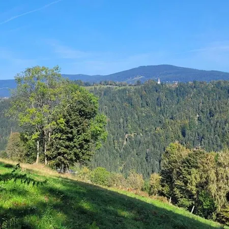 Waldmelodie Huette Feriehus *