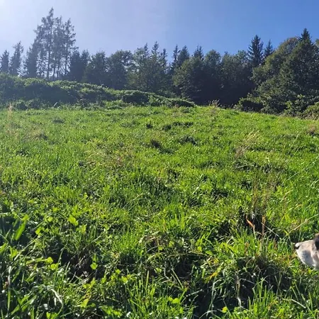Waldmelodie Huette Wiel